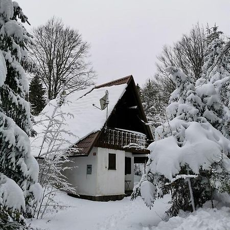 Villa Koca Kresnica Ilirska Bistrica Esterno foto