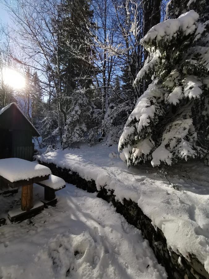 Villa Koca Kresnica Ilirska Bistrica Esterno foto