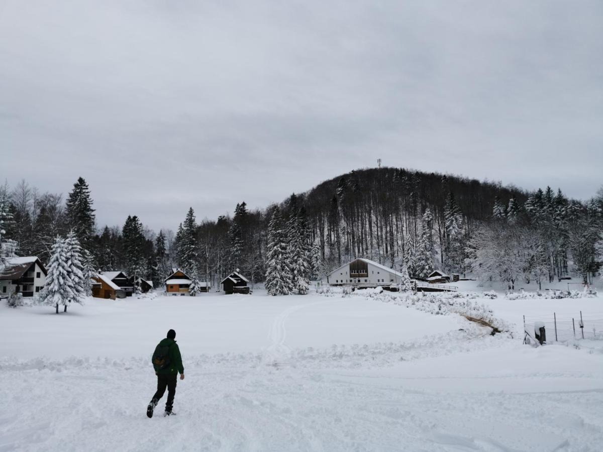Villa Koca Kresnica Ilirska Bistrica Esterno foto