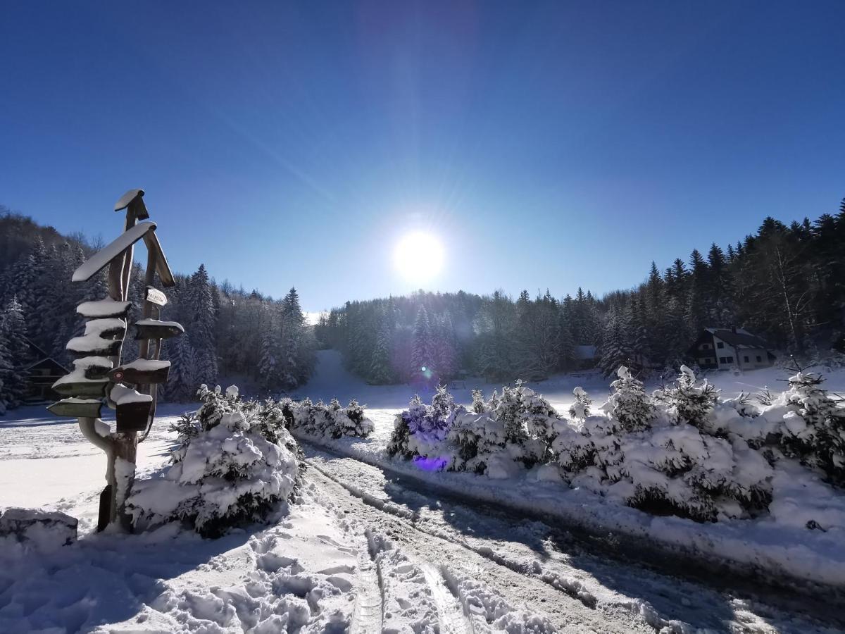 Villa Koca Kresnica Ilirska Bistrica Esterno foto