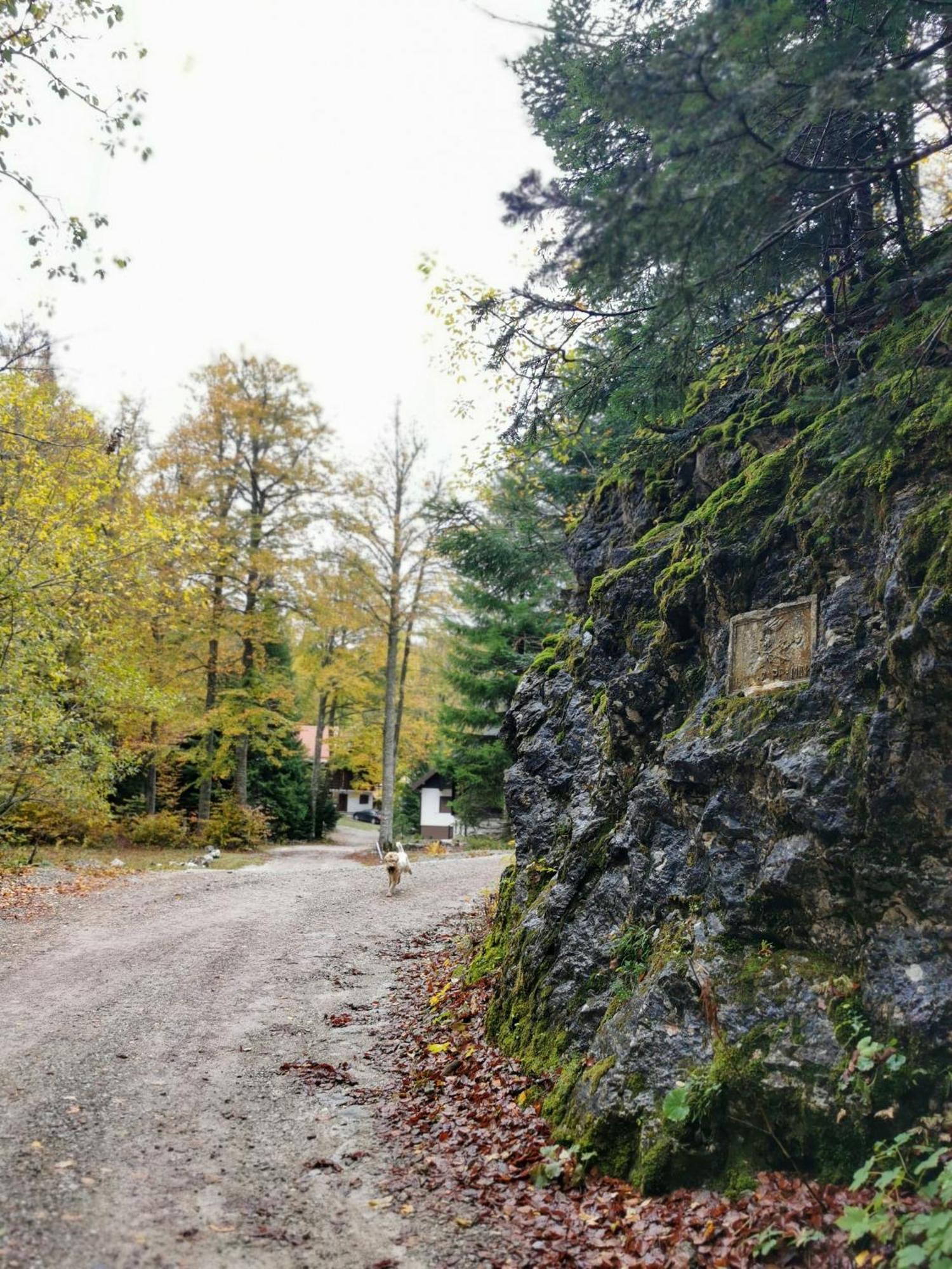 Villa Koca Kresnica Ilirska Bistrica Esterno foto