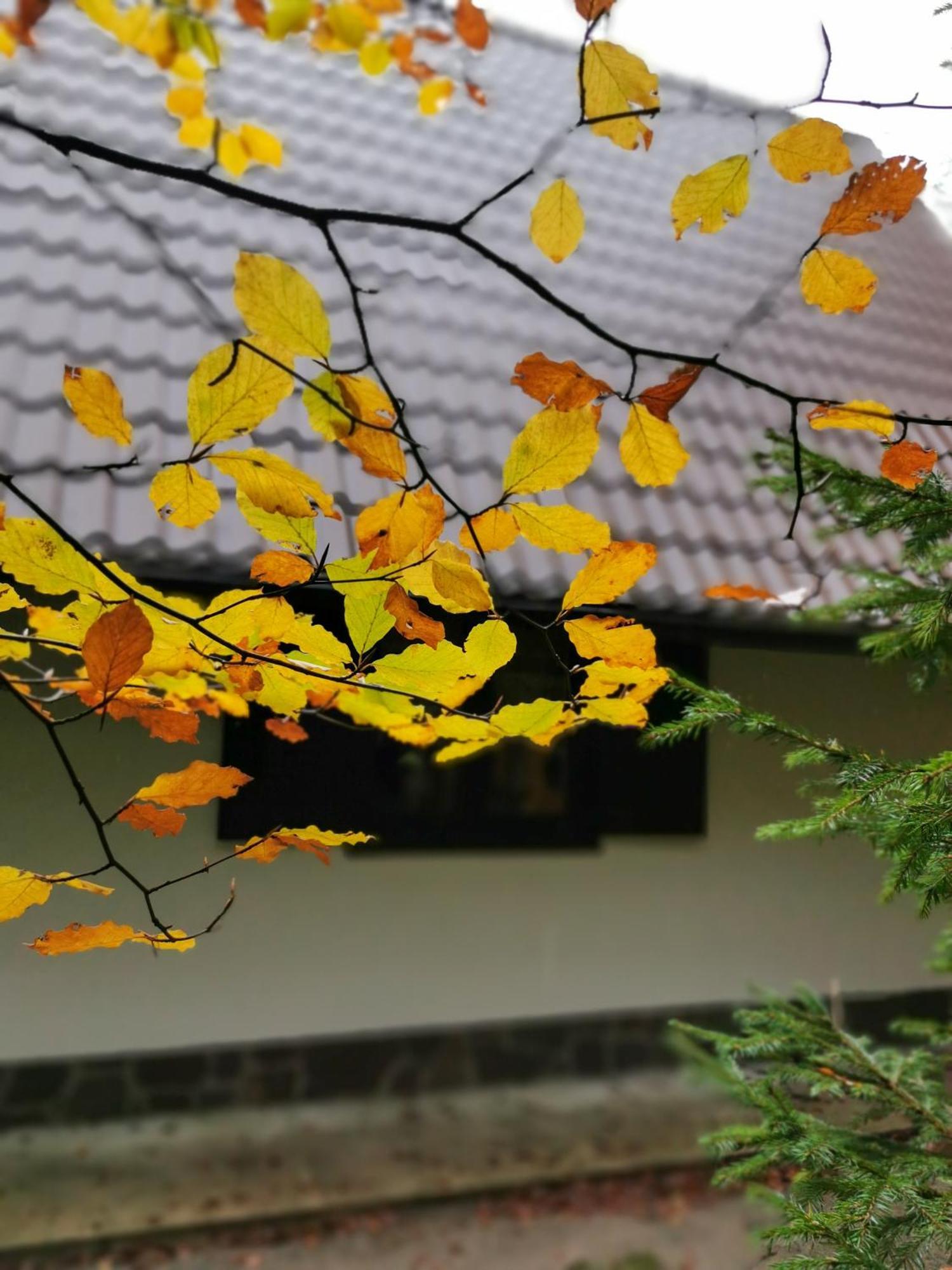 Villa Koca Kresnica Ilirska Bistrica Esterno foto