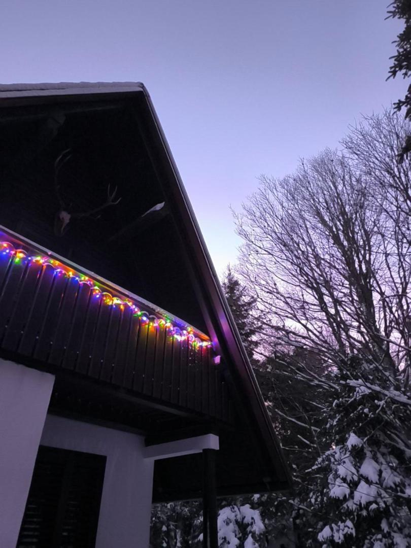 Villa Koca Kresnica Ilirska Bistrica Esterno foto